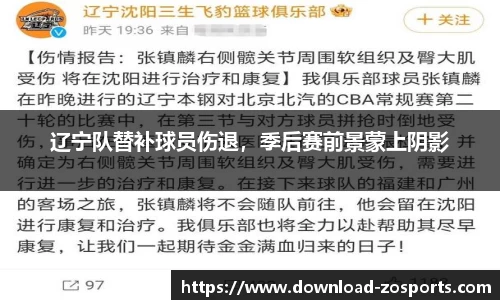 辽宁队替补球员伤退，季后赛前景蒙上阴影