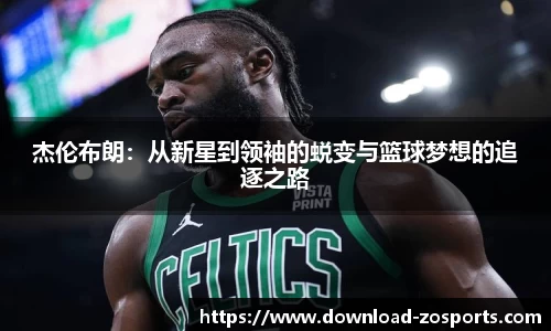 中欧体育官方网站